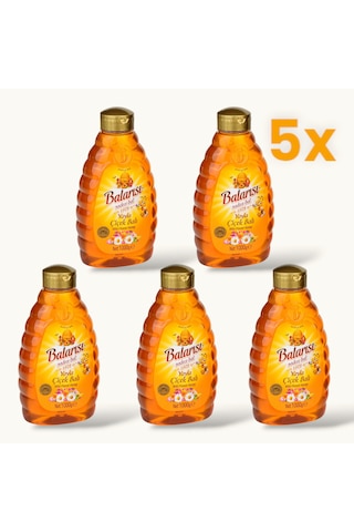 Balarısı Pratik Kapak Çiçek Balı 5 x 1 KG