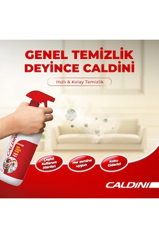 Genel Amaçlı Temizlik Ürünü 1 L