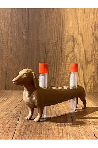 Köpek Laboratuvar Ve Kan Tüpü Standı