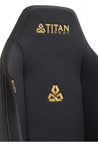 Seat Throne Leather Gold Oyuncu Koltuğu Diğer