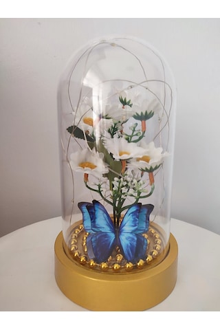 Işıklı Papatya Buket Fanus