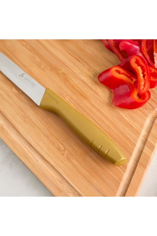 Aryıldız Primo Sebze Bıçağı Gold 11 Cm Renkli