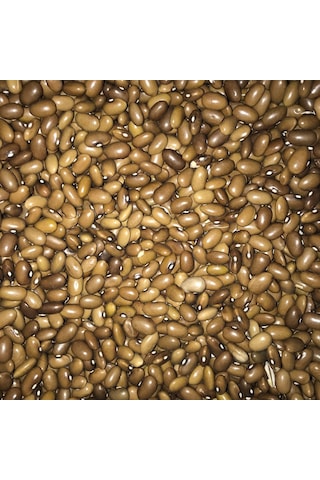 Yerli Sarıkız Erken Oturak Fasulye Tohumu 100 GR