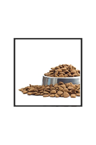 Kedi Kulübesi Kedi Yuvası Kedi Evi -1 Kg Mama Hediyeli-30x33x36cm Iç Ve Dış Mekan Su Ve Isı Yalıtım