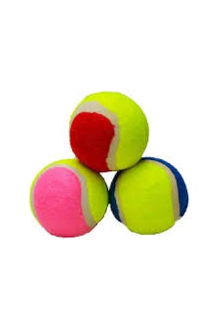 Zensaas41 Petzoom Köpek Oyun Topu Tenis Topu Zensaa56