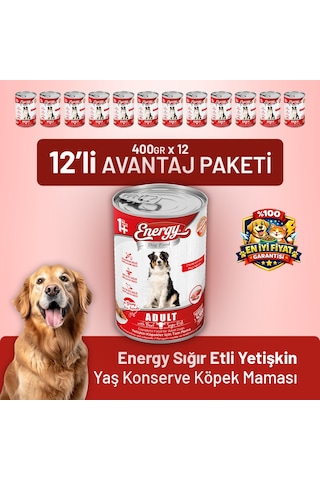 Energy Sığır Etli Yetişkin Yaş Köpek Maması 400 G - 12 Adet