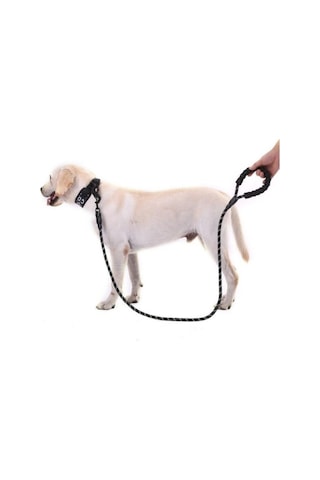 Reflektörlü Köpek Tasması Siyah 130 CM