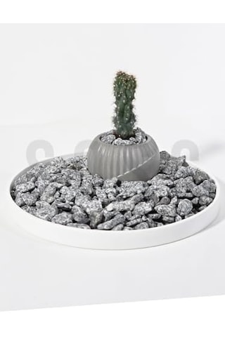 Natural Granit Dekoratif Çakıl Taşı, Gri Beyaz, 1-2 Cm, 3 Kg, Bahçe Peyzaj Saksı Akvaryum Teraryum İçin Doğal Taş