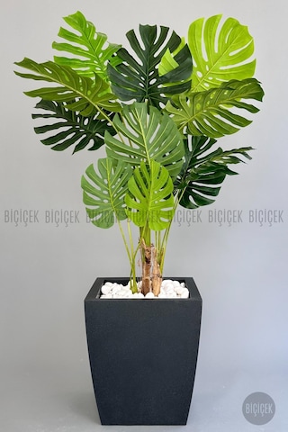 Biçiçek Yapay Monstera Ağacı Deve Tabani 180 Cm Antresi̇t Kemer Saksıda