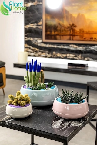 Elvan Aranjman Saksı 0,86 Litre Soft Pembe 17cm Menekşe Kaktüs Sukulent Saksısı Parlak Plastik 1