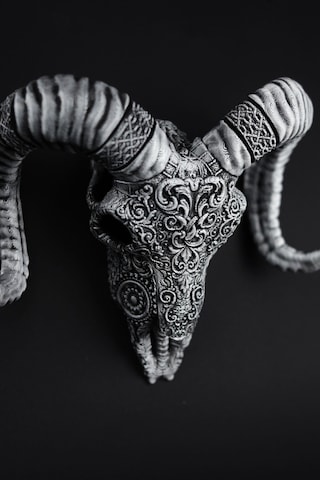 Koyun - Kuru Kafa - Figür / Büst - 17cm