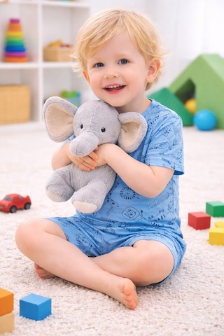 Aden Kids Erkek Çocuk Mavi Saferi Baskılı Yazlık Pijama Takımı Açik Mavi