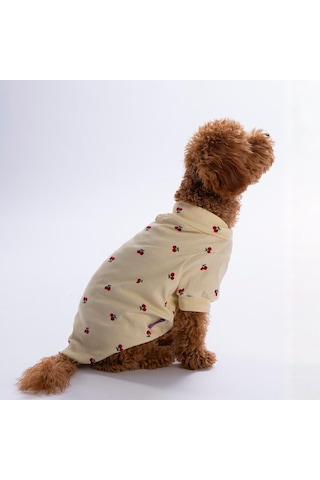 Cherry Glow Kiraz Desenli Kedi Köpek Sweati - Kedi Köpek Kıyafeti-kedi Köpek Sweati