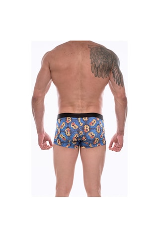 Erkek Çok Renkli Fantezi Giyim Desenli Boxer Hf072209