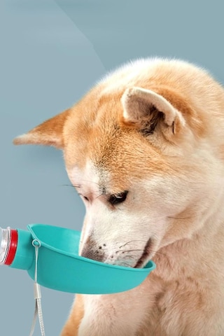 Yeni Nesil Pratik Kedi Köpek Evcil Hayvan Şişeye Takılabilen Su Aparatı Suluk Başlığı