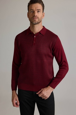 Ysf Erkek Bordo Polo Yaka Desenli Triko