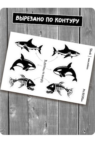 Stadi Devlet Plakası Etiketi Köpekbalığı 226337828