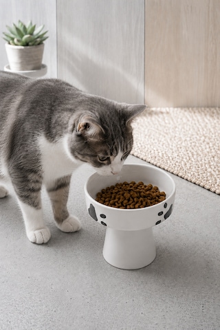 Seramik Kedi Ve Köpek Mama Su Kabı 300 Ml Ayaklı Yükseltilmiş Mama Kabı 13 Cm
