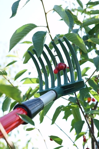 Meyve Toplama Aparatı (Sapsız-sırıksız) Set