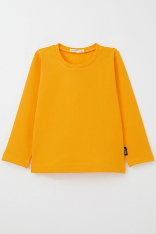 Breeze Erkek Bebek Uzun Kollu Tişört Basic 9 Ay-3 Yaş, Hardal Sarı Hardal Sarı