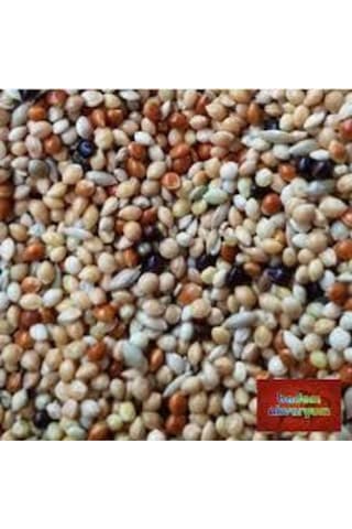 2kğ Saf Kuş Yemi Her Türlü Kuş Için Uygun Besleyici Mineralli Kuş Yemi Muhabbet Kanarya Hint Bülbülü