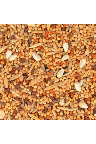 Quik Kızıştırıcı Muhabbet Kuşu Yemi 150 G 0.75 LT - 2.5 LT - 12 KG