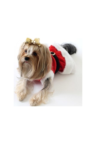Noel Anne Elbisesi Mini Köpeklere Uygun Polar 2xlarge