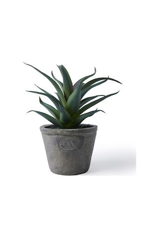 Yargıcı Yapay Bitki Sukulent 20x21 Cm 26knha1100t St