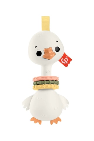 Fisher-Price Hrb19 Sensimals Dişlik Seti Çok Renkli