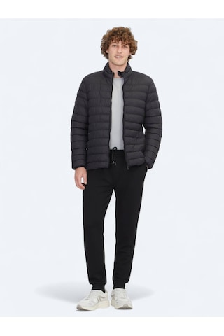 Kip Siyah Regular Fit Dik Yaka Casual Dokuma Mont Siyah