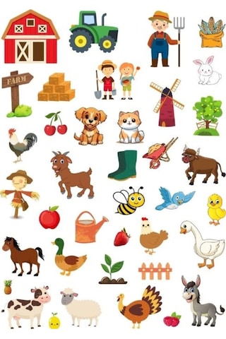 Sticker Hediyeli, İş Kültür Doğanın Eşsiz Hikayeleri 4 Kitap - Arı, Balkabağı,kurbağa,kaplumbağa