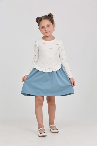 Toontoy Kids Kız Çocuk Baskılı Relax Fit Bisiklet Yaka Uzun Kollu Elbise - Renk Bloklu Mavi