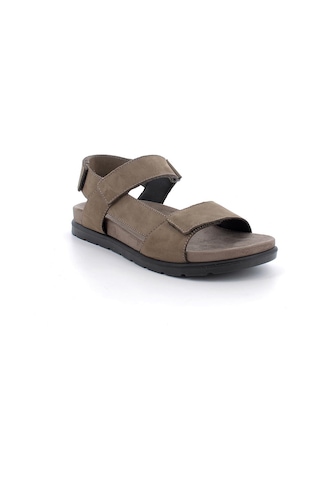 Sandalet Erkek Diğer 1137722 Igı&co Ufk 11377 Fussb.vıtello Safari