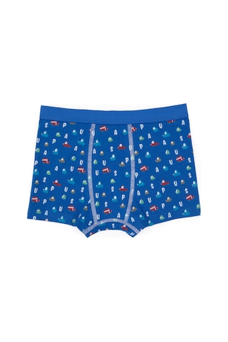 U.S. Polo Assn. Erkek Çocuk 3'lü Boxer Takım 50319394-VR028