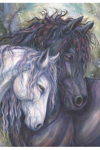 Anatolian 500 Parça Ruh İkizi Puzzle