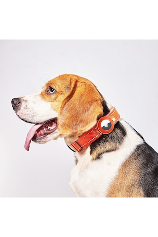 Hedef Hayvan Konumlandırma Boyunluğu Airtag Köpek Boyunluğu Köpek İzleme Airtag Boyunluğu Kaybolma Önleyici Evcil Hayvan Boyunluğu Köpek İpi Şeftali Boyunluğu L