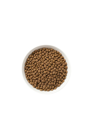 Zampa Tam ve Dengeli Tavuk Etli Yavru Kediler İçin Kuru Mama 15 KG
