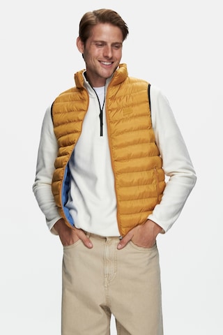 Blume Sarı Fermuarlı Ve Cepli Polyester Standard Fit Erkek Yelek - Sarı