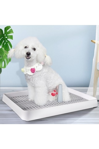 Açık Tip Evcil Köpek Tuvalet Lazımlık Pet Malzemeleri 9nnu29