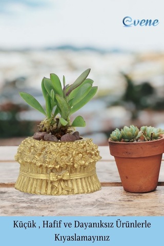 Mini Çiçek Saksı Küçük Sukulent Kaktüs Saksısı Çiçekli Fiyonklu Model - Altın