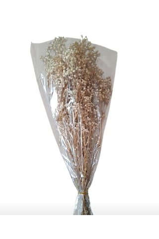 Şoklanmış Kurutulmuş Cipso Çiçeği 1 Demet 50-60gr - 35-45cm Krem