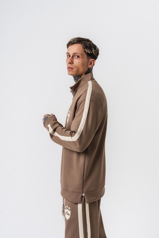 Respire Erkek Şerit Detaylı Yarım Fermuarlı Modal Sweatshirt Vizon