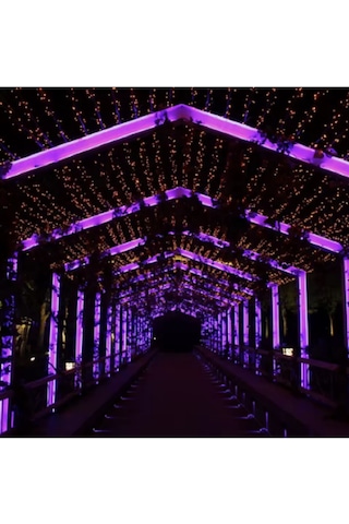 120 Ledli Mor Işık Şerit Led 5 Metre 60 Watt Mor 12 Volt