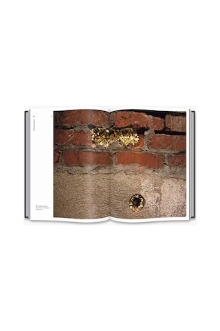 Thames And Hudson Street Craft 9780500517840
