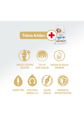 Felicia Hypoallergenic Somonlu Az Tahıllı Orta ve Büyük Irk Yetişkin Köpek Maması 3 KG