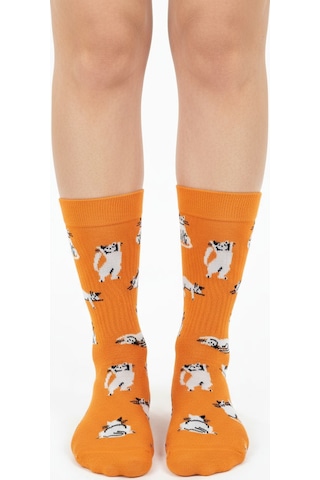 Gost Liria Silver Cat Socks Desenli Unisex Soket Çorap Turuncu