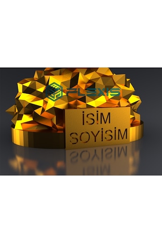 İsminize Özel Fıfa Ballon D'or Maketi Gold Kaplama 20 Cm Boy Dekor Hediyelik