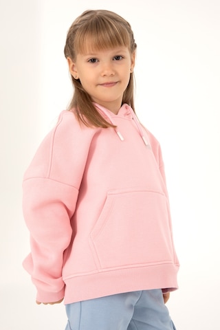 U.S. Polo Assn. Kız Çocuk Pudra Basic Kapüşonlu Sweatshirt 50297438-VR042