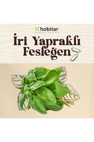 Hobitar Kolay Yetişen Yaze Yeşillikler Sebze Tohumu Paketi - 5 Çeşit Aromatik Tohumu