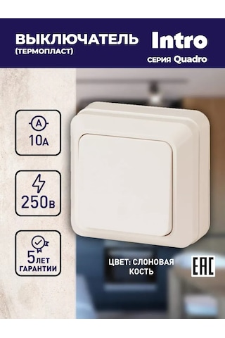 Intro Quadro 250v Tekli Düğmeli Anahtar 261824260
